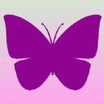 Picture of