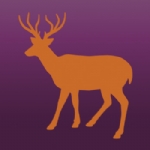 Picture of 
