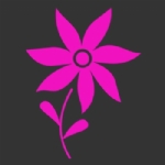 Picture of