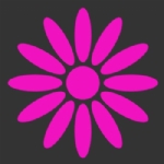 Picture of 
