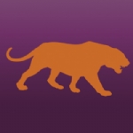 Picture of