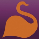 Picture of