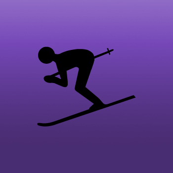 Skier Iron on Transfer
