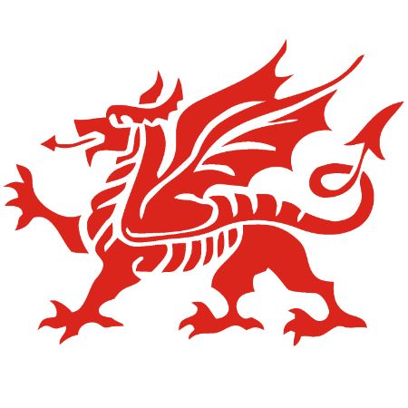 Welsh Dragon Iron on Transfer